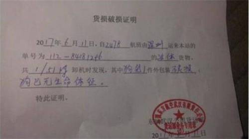 貨運公司送貨證明怎么開貨運公司送貨證明怎么開具