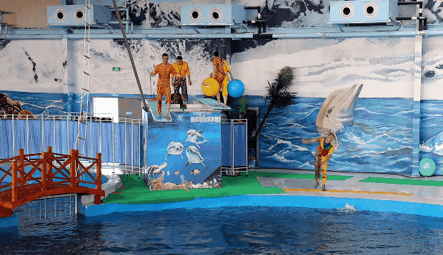 揚州海洋貨運代理報價行情揚州海洋貨運代理報價行情查詢