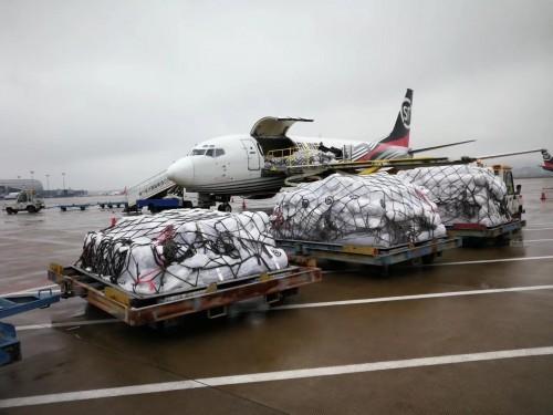 西城區(qū)先進國際貨運總結