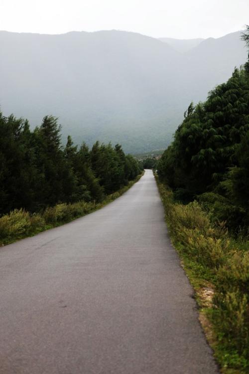 沈陽(yáng)至麗江市貨運(yùn)電話(huà)沈陽(yáng)至麗江市貨運(yùn)電話(huà)號(hào)碼