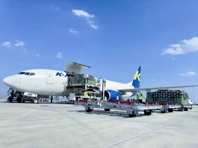 國家貨運航空國家貨運航空公司