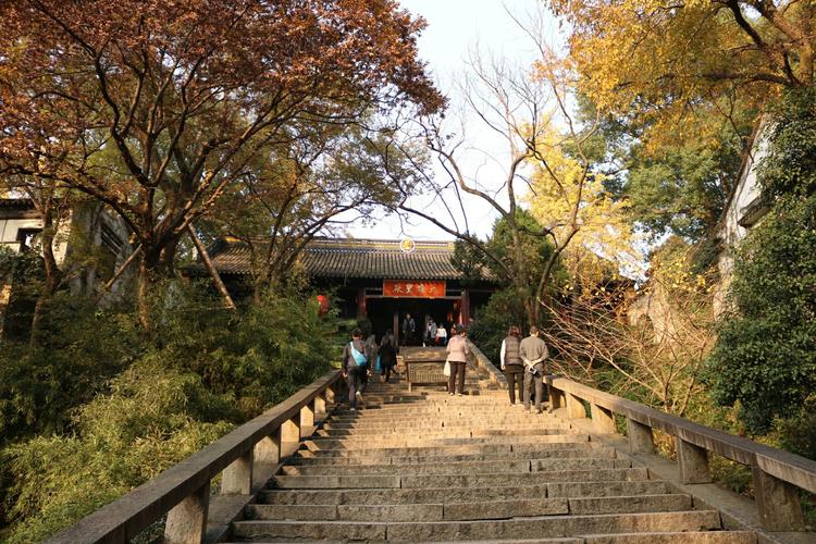 虎丘國際貨運(yùn)虎丘國際貨運(yùn)代理公司